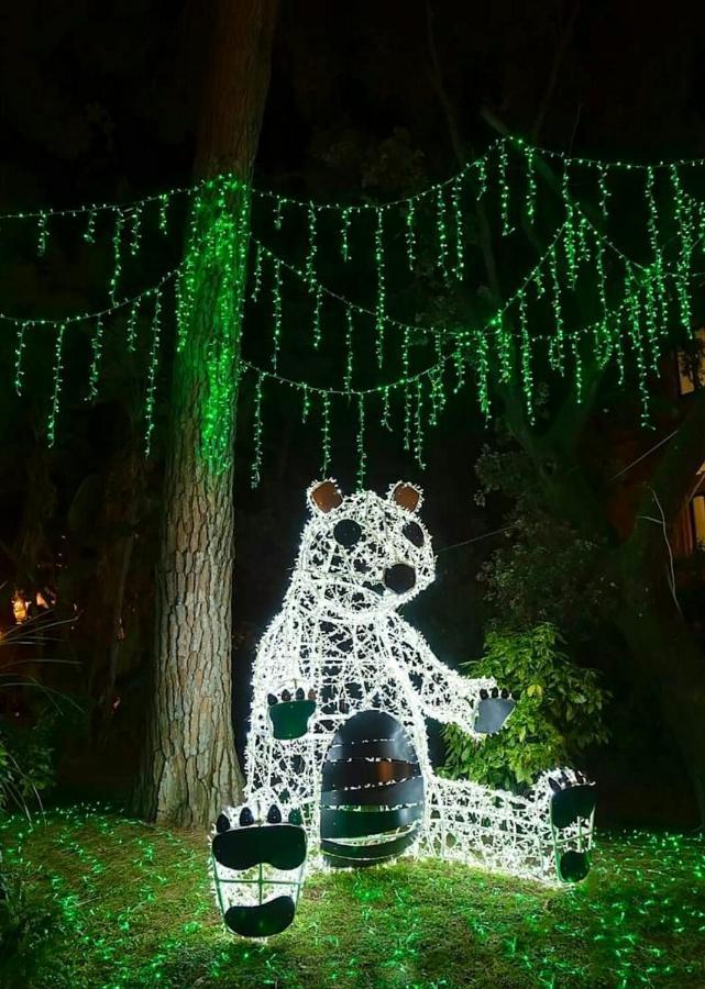 Bed and Breakfast Oasi Al Centro Con Parcheggio Salerno Zewnętrze zdjęcie